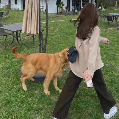 捡来的孩子
