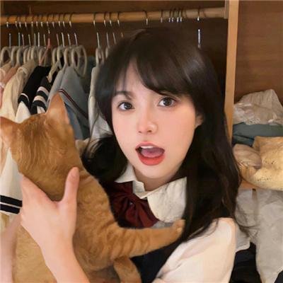 伊拉克碎片